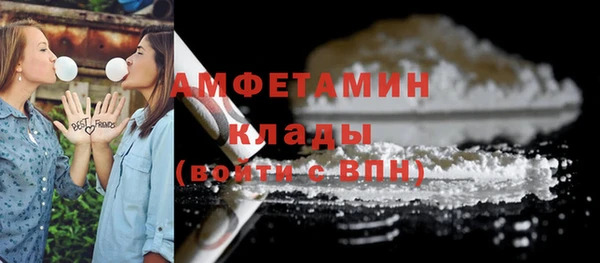 мдпв Дмитриев