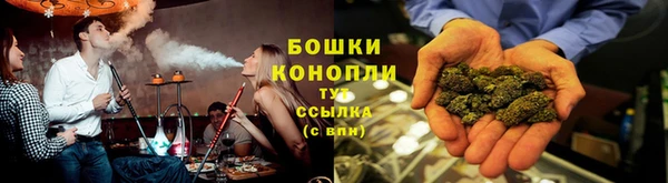 мдпв Дмитриев