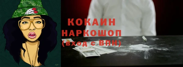 мдпв Дмитриев
