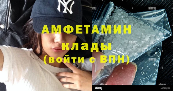 мдпв Дмитриев