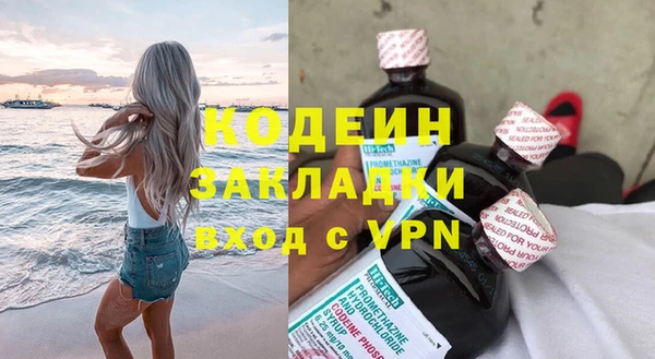 мдпв Дмитриев