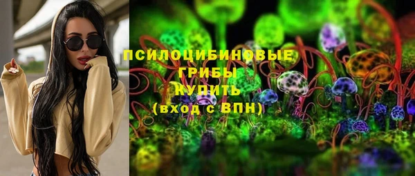 мдпв Дмитриев