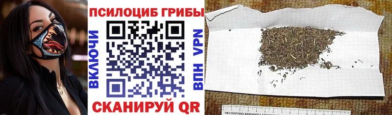 Купить Биробиджан Галлюциногенные грибы мухоморы